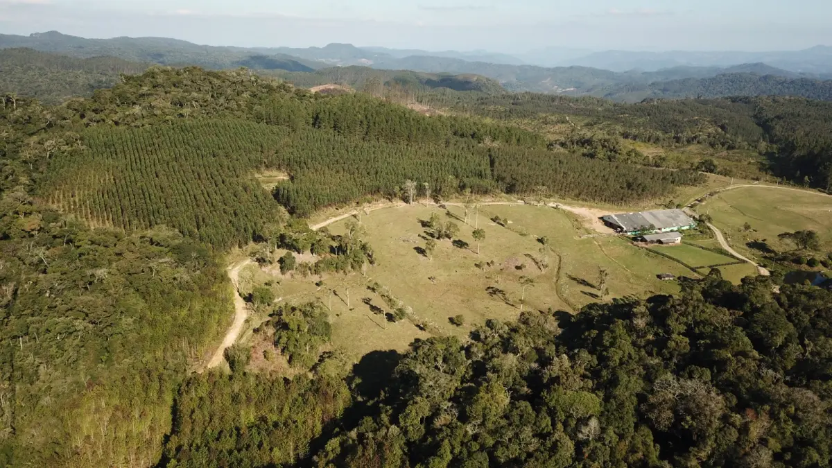 LOTE 000 - FAZENDA COM 607,58 HECTARES ,  REFLORESTAMENTO ( 90% EUCALIPTO) BENEDITO NOVO SC