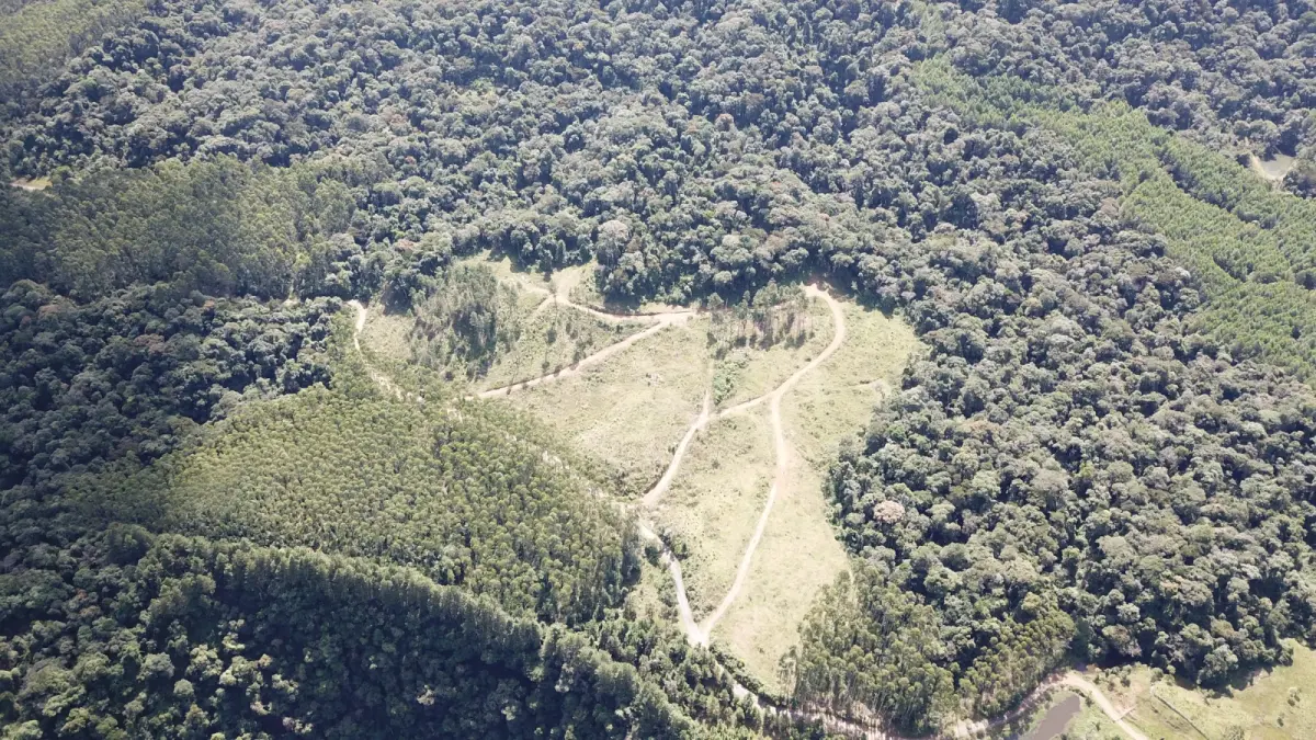 LOTE 000 - FAZENDA COM 607,58 HECTARES ,  REFLORESTAMENTO ( 90% EUCALIPTO) BENEDITO NOVO SC