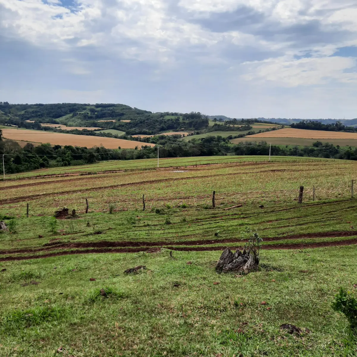 LOTE 000 - FAZENDA DUPLA APTIDAO COM 74 HECTARES