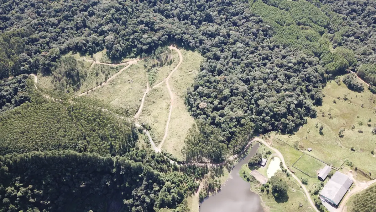 LOTE 000 - FAZENDA COM 607,58 HECTARES ,  REFLORESTAMENTO ( 90% EUCALIPTO) BENEDITO NOVO SC