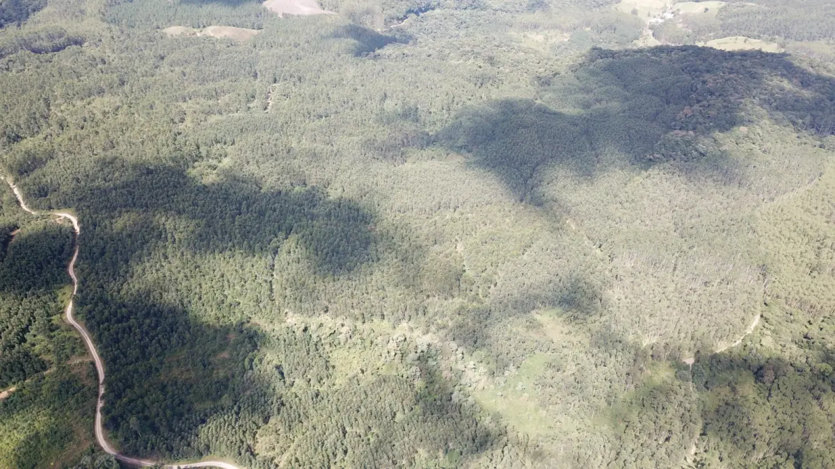 LOTE 000 - FAZENDA COM 607,58 HECTARES ,  REFLORESTAMENTO ( 90% EUCALIPTO) BENEDITO NOVO SC