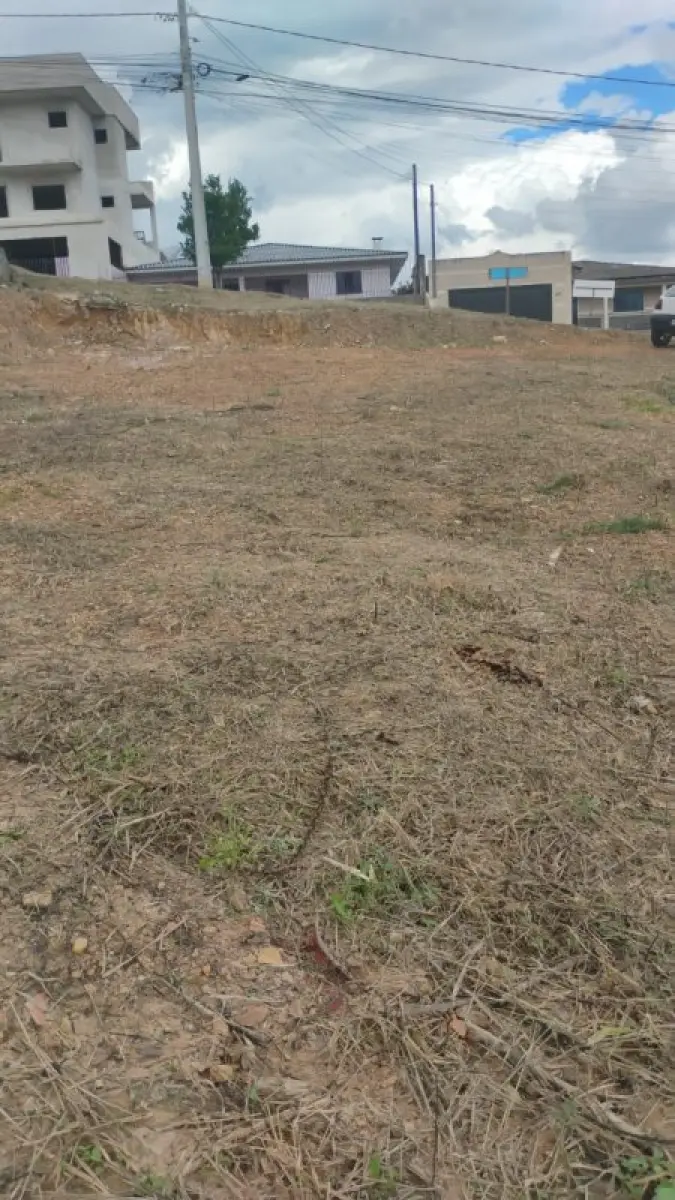 LOTE 000 - TERRENO DE 871,20 M2 em PONTA GROSSA - PR (AVENIDA MELVIN JONES 1064)