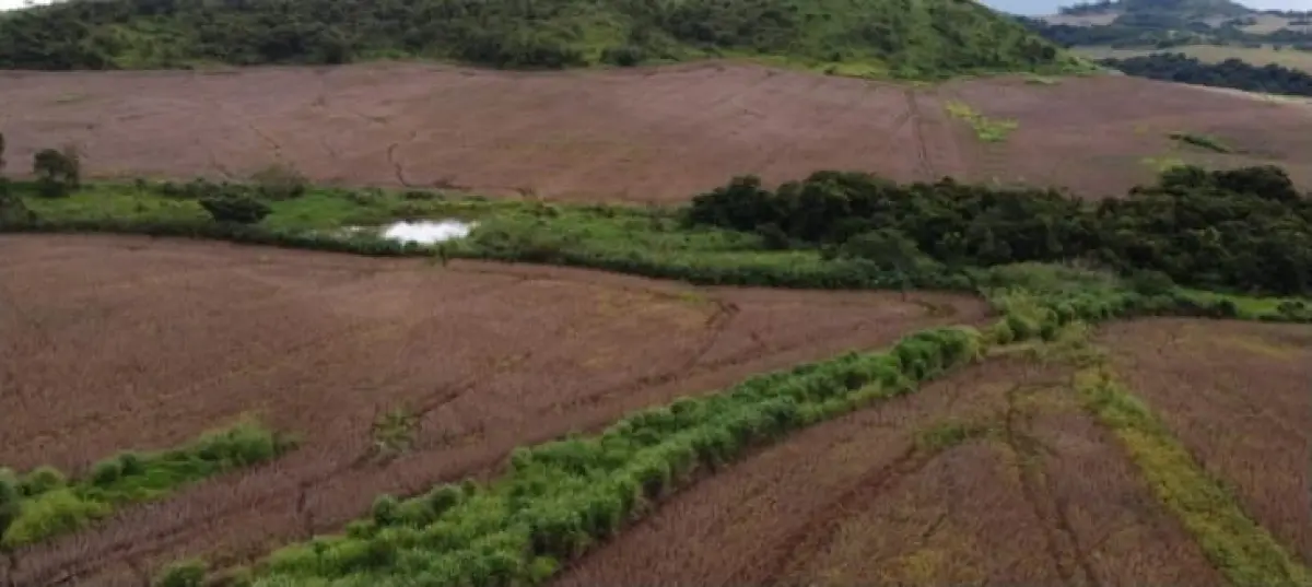 LOTE 000 - AREA RURAL, SÍTIO DE  24,2 Ha ( 10 alqueires)  EM URAÍ/PR