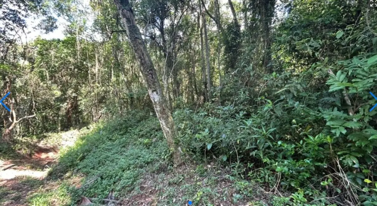 LOTE 000 - TERRENO EM FLORIANÓPOLIS - SC SERTãO, NA TRINDADE, 4º SUBDISTRITO • 30519,38m²  Florianópolis - SC