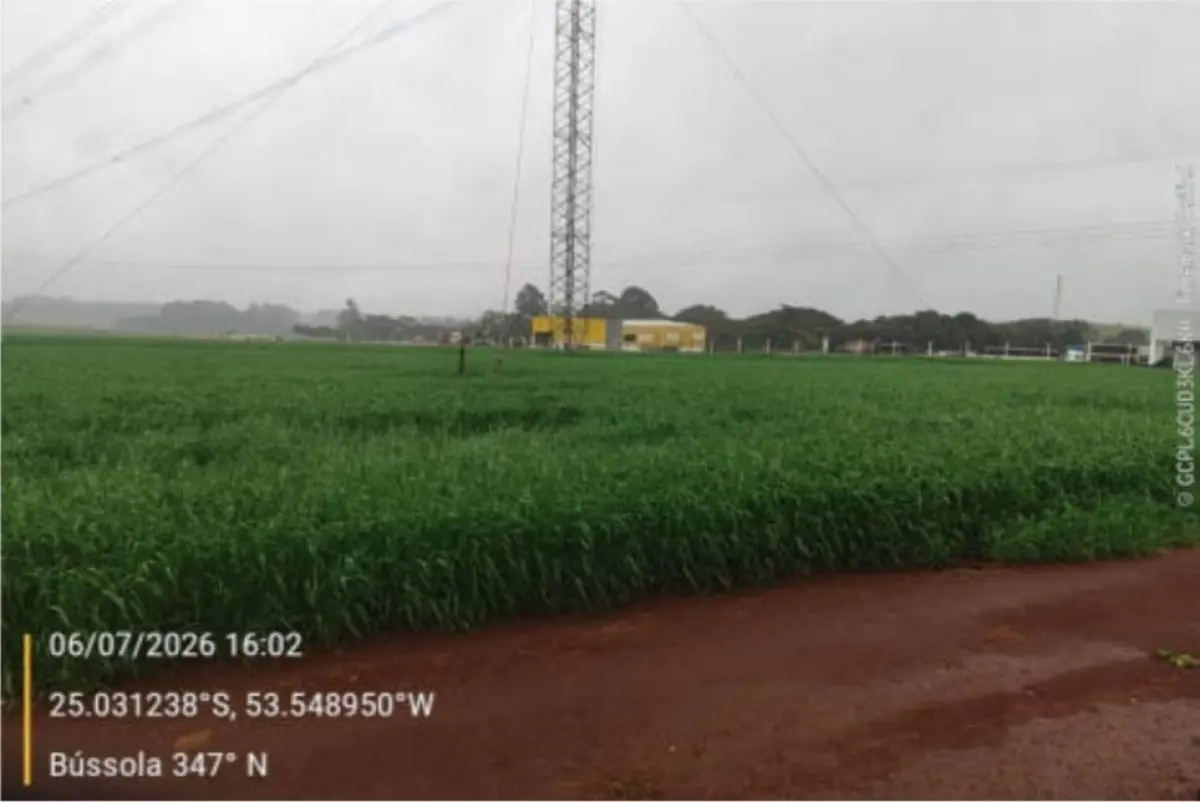 LOTE 000 - TERRENO INDUSTRIAL COM 20.062 M2 ( Núcleo Industrial Cascavel saída para Capitão L. Marques)