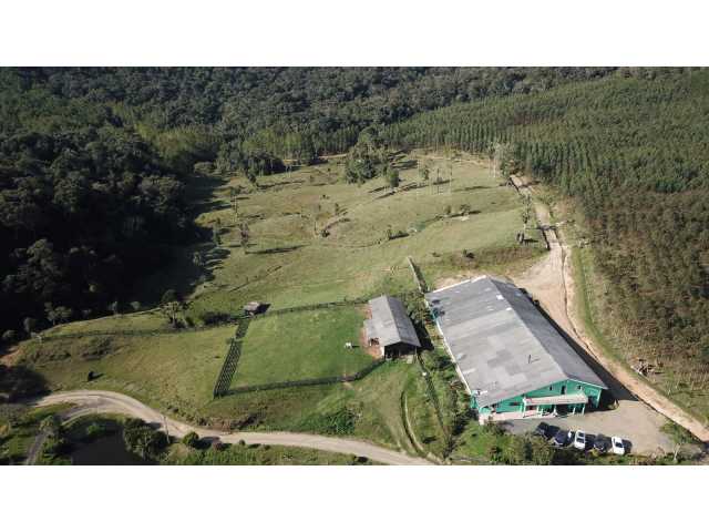 FAZENDA COM 607,58 HECTARES  ( REFLORESTAMENTO EUCALIPTO) em BENDEDITO NOVO -SC