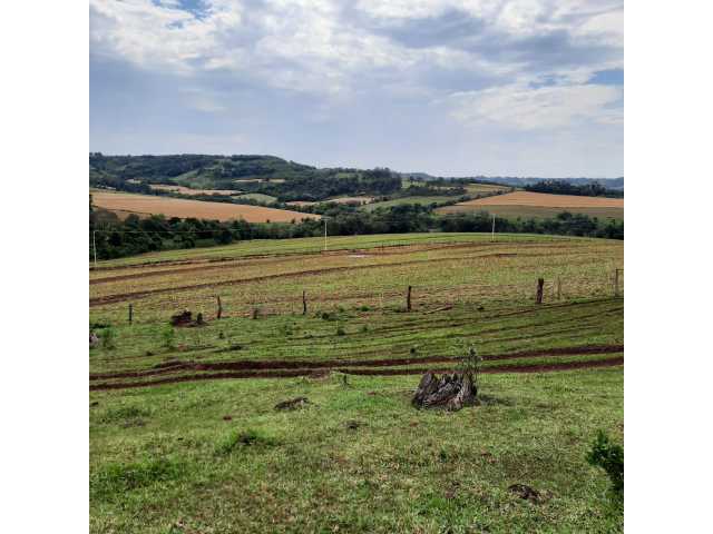 FAZENDA COM 74 HECTARES EM LINDOESTE - PR  (dupla aptidão) boa de  agua e estrutura, como,  casa e mangueiras, cerca eletrica
