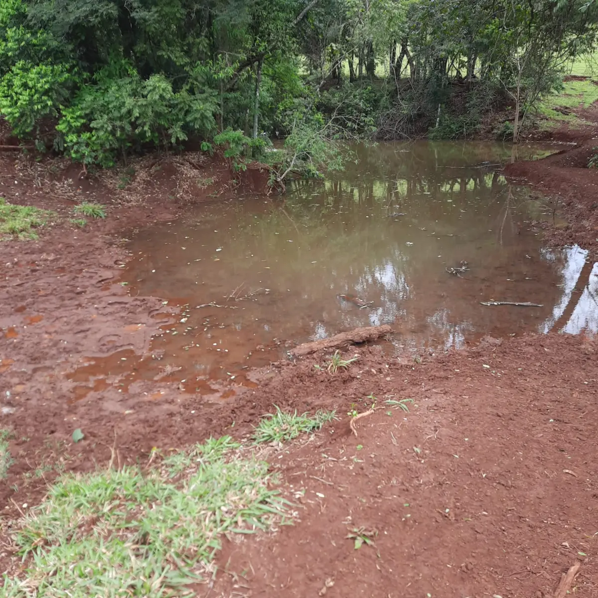 LOTE 000 - FAZENDA DUPLA APTIDAO COM 74 HECTARES