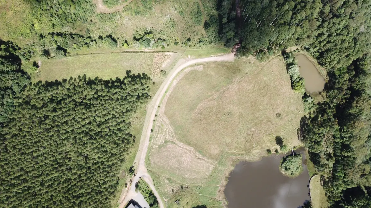 LOTE 000 - FAZENDA COM 607,58 HECTARES ,  REFLORESTAMENTO ( 90% EUCALIPTO) BENEDITO NOVO SC
