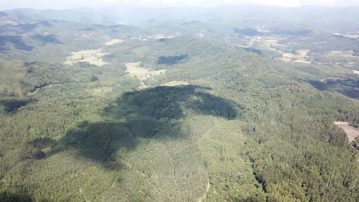 LOTE 000 - FAZENDA COM 607,58 HECTARES ,  REFLORESTAMENTO ( 90% EUCALIPTO) BENEDITO NOVO SC