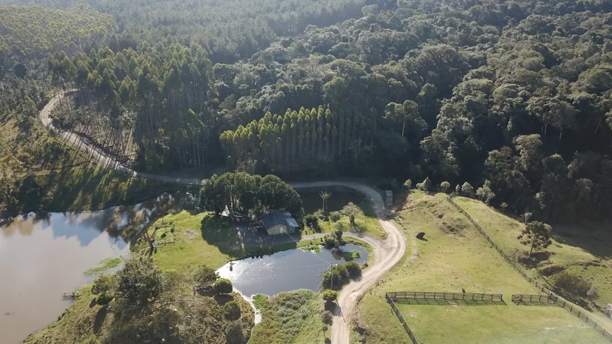 LOTE 000 - FAZENDA COM 607,58 HECTARES ,  REFLORESTAMENTO ( 90% EUCALIPTO) BENEDITO NOVO SC