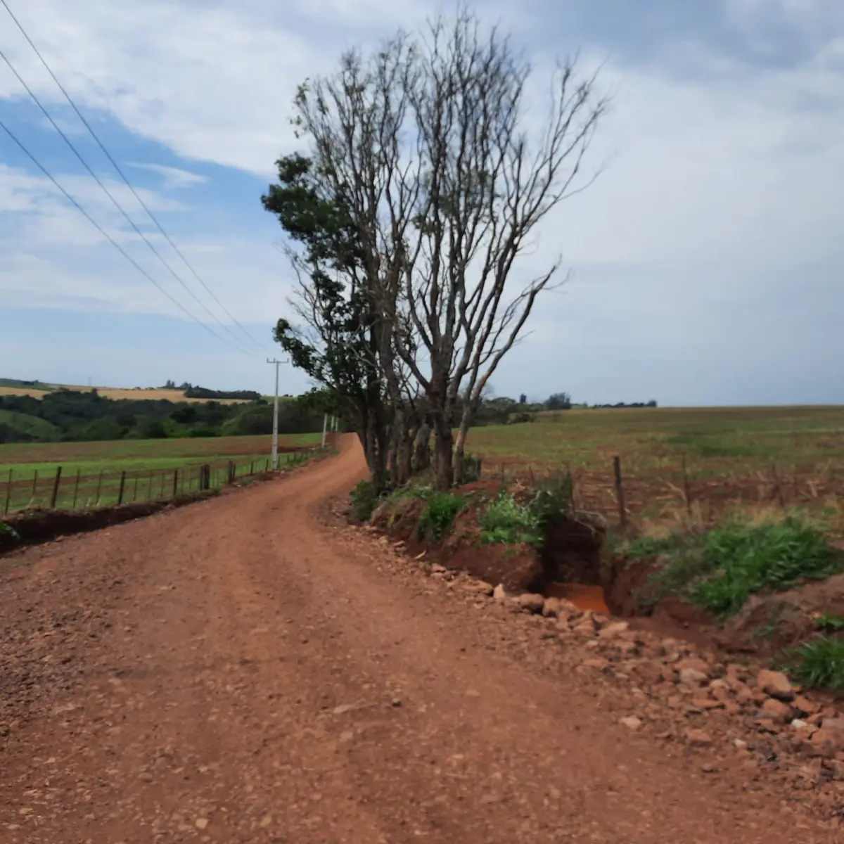 LOTE 000 - FAZENDA DUPLA APTIDAO COM 74 HECTARES