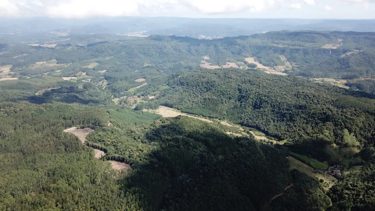 LOTE 000 - FAZENDA COM 607,58 HECTARES ,  REFLORESTAMENTO ( 90% EUCALIPTO) BENEDITO NOVO SC