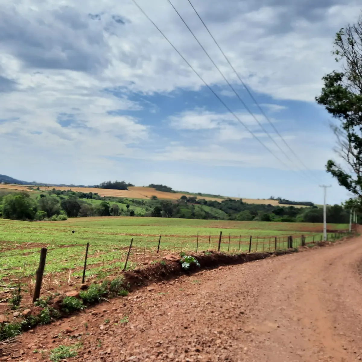 LOTE 000 - FAZENDA DUPLA APTIDAO COM 74 HECTARES