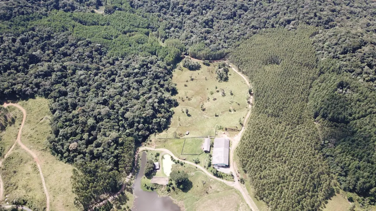 LOTE 000 - FAZENDA COM 607,58 HECTARES ,  REFLORESTAMENTO ( 90% EUCALIPTO) BENEDITO NOVO SC