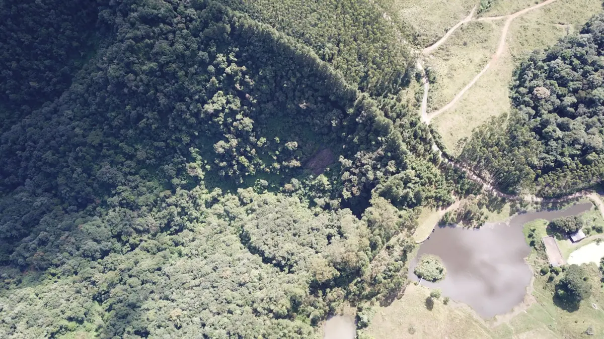 LOTE 000 - FAZENDA COM 607,58 HECTARES ,  REFLORESTAMENTO ( 90% EUCALIPTO) BENEDITO NOVO SC