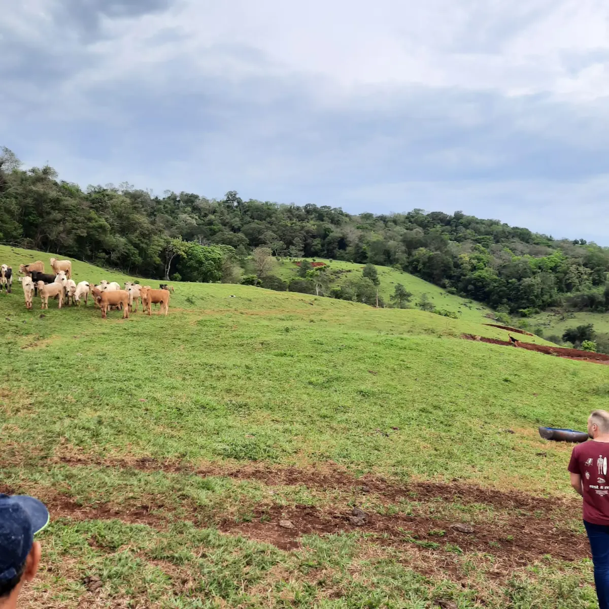 LOTE 000 - FAZENDA DUPLA APTIDAO COM 74 HECTARES