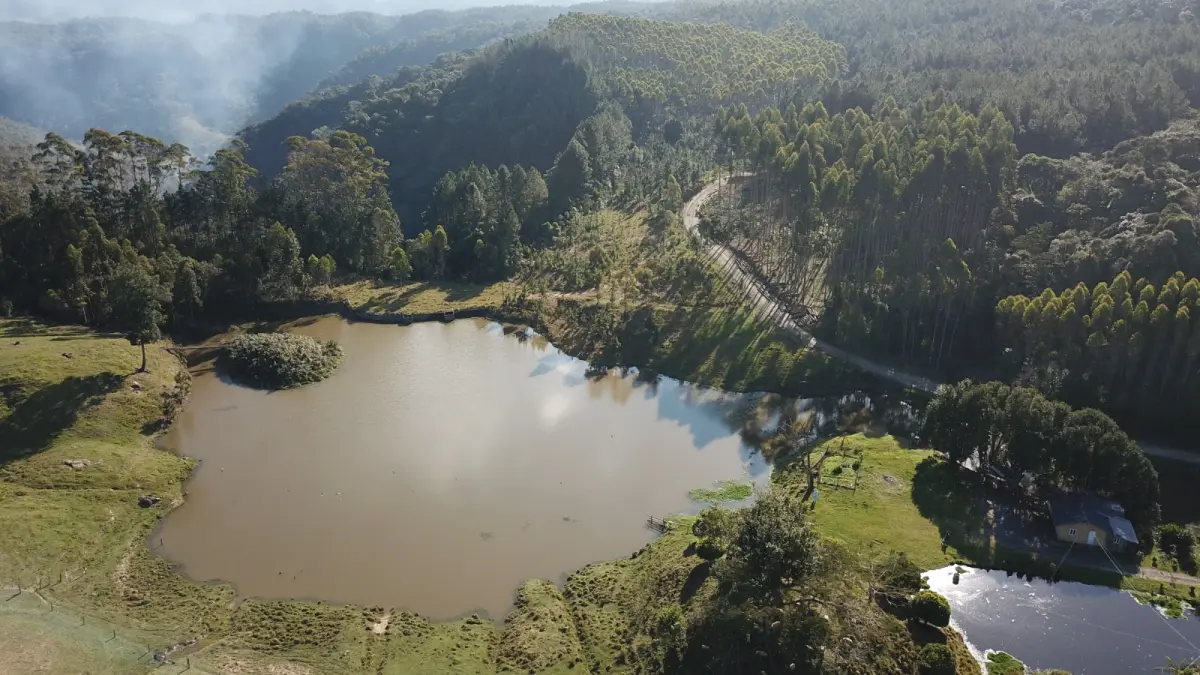 LOTE 000 - FAZENDA COM 607,58 HECTARES ,  REFLORESTAMENTO ( 90% EUCALIPTO) BENEDITO NOVO SC