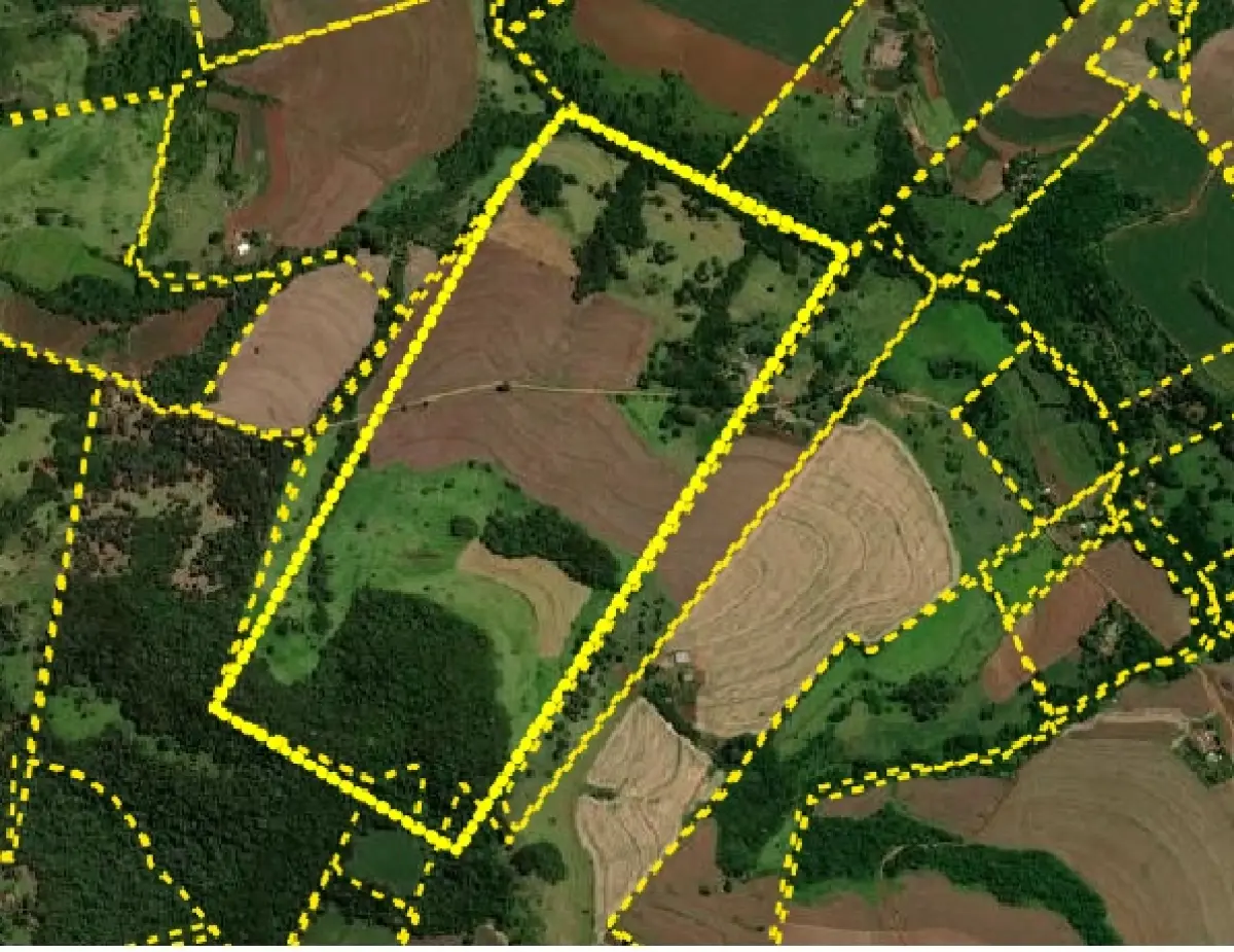 LOTE 000 - FAZENDA DUPLA APTIDAO COM 74 HECTARES