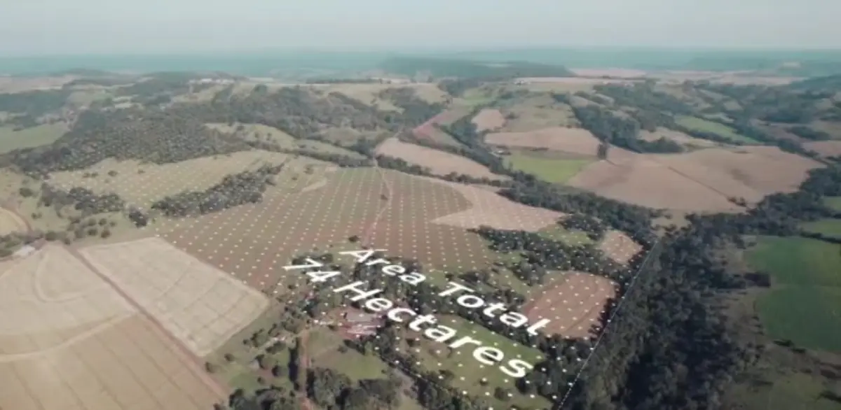 LOTE 000 - FAZENDA DUPLA APTIDAO COM 74 HECTARES