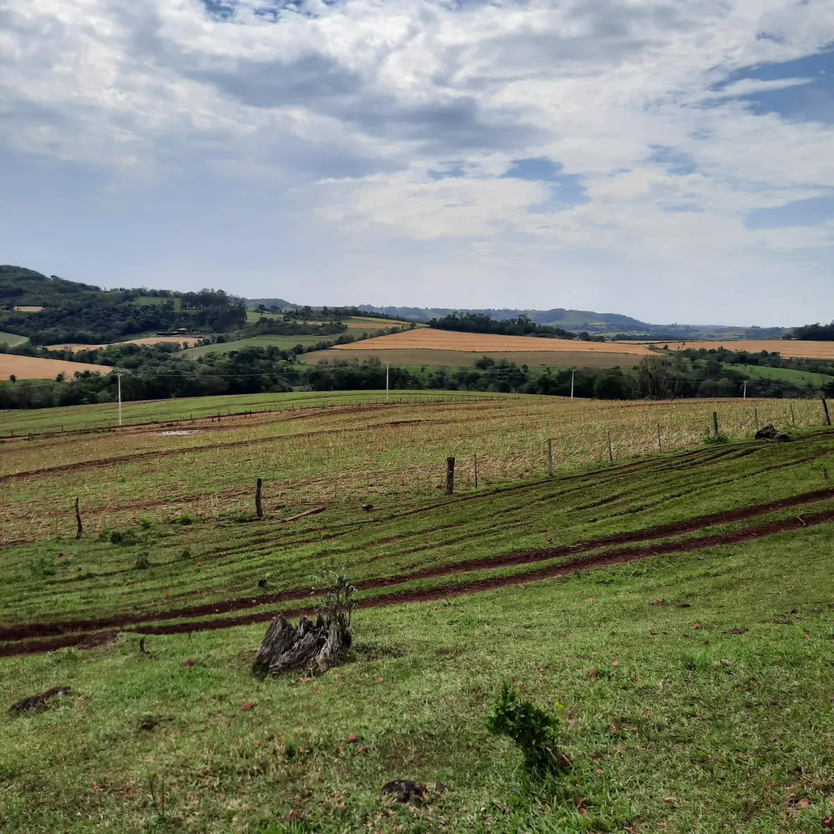 LOTE 000 - FAZENDA DUPLA APTIDAO COM 74 HECTARES