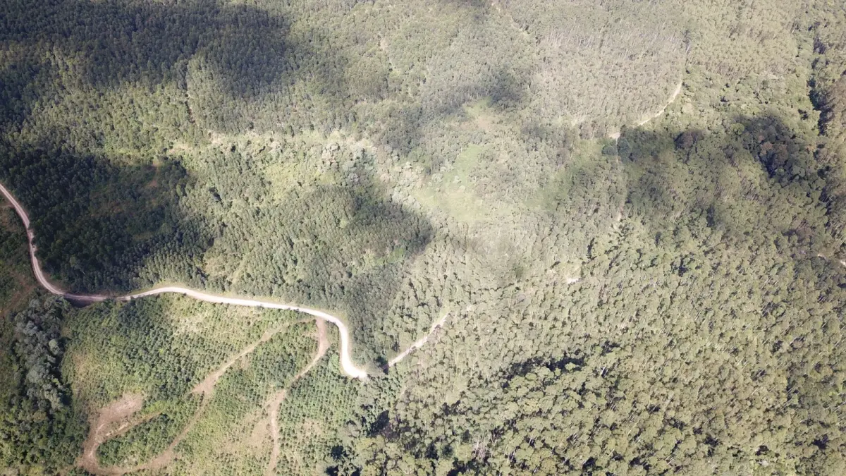 LOTE 000 - FAZENDA COM 607,58 HECTARES ,  REFLORESTAMENTO ( 90% EUCALIPTO) BENEDITO NOVO SC