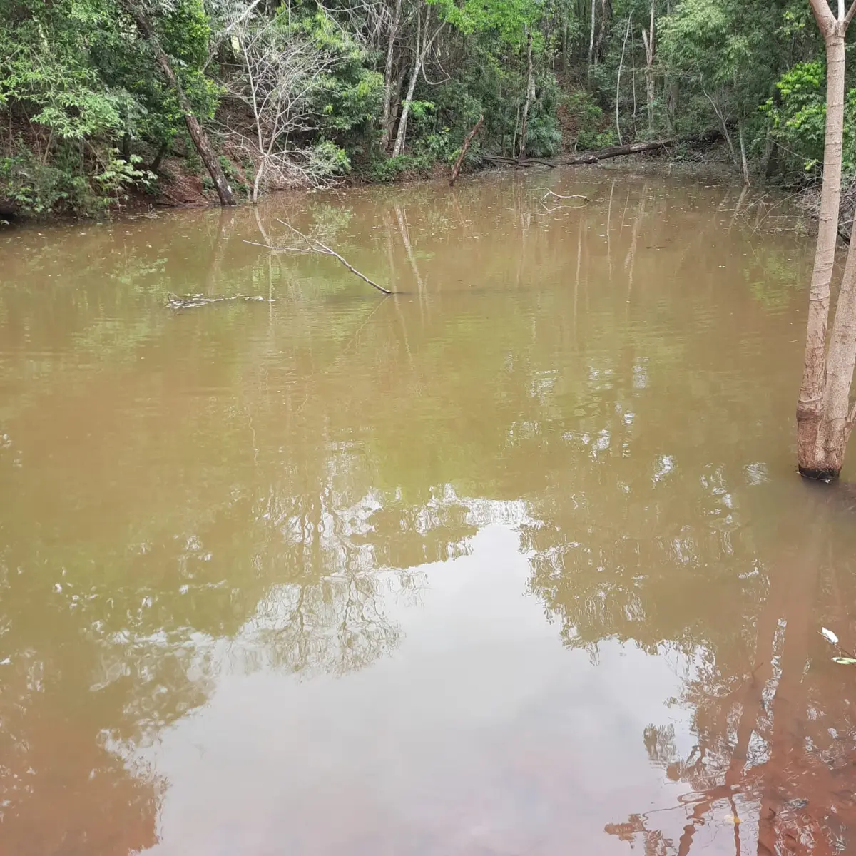 LOTE 000 - FAZENDA DUPLA APTIDAO COM 74 HECTARES
