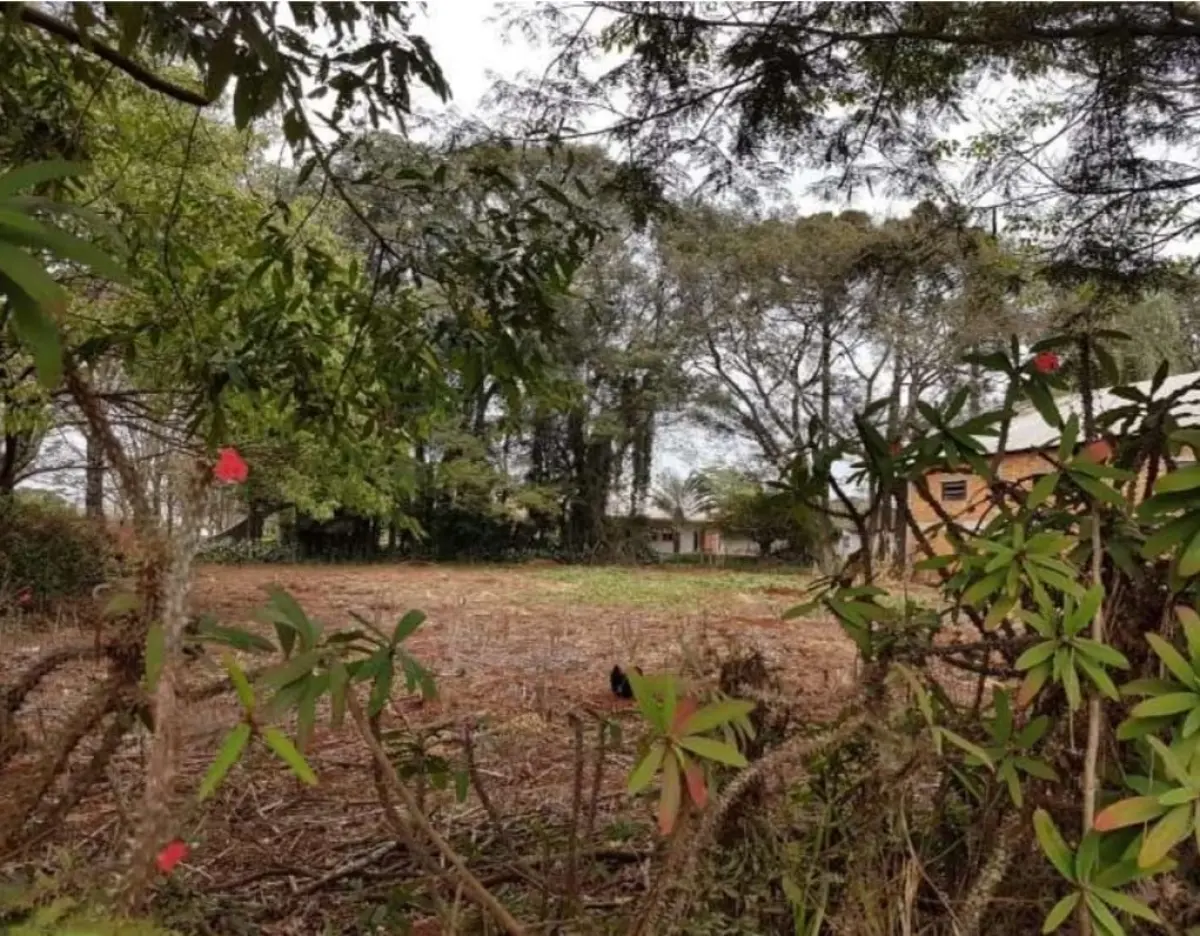 LOTE 000 - TERRENO URBANO EM CORBÉLIA COM 715,10 METROS QUADRADOS - CORBELIA PR
