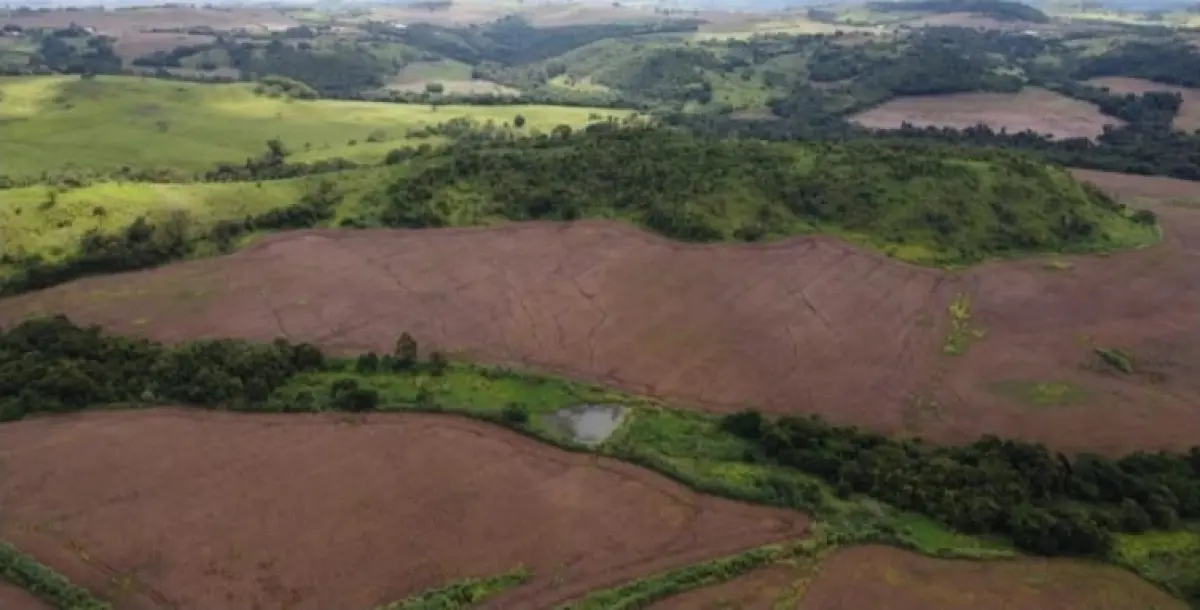 LOTE 000 - AREA RURAL, SÍTIO DE  24,2 Ha ( 10 alqueires)  EM URAÍ/PR