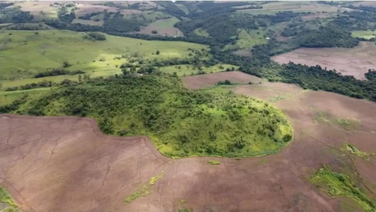 LOTE 000 - AREA RURAL, SÍTIO DE  24,2 Ha ( 10 alqueires)  EM URAÍ/PR