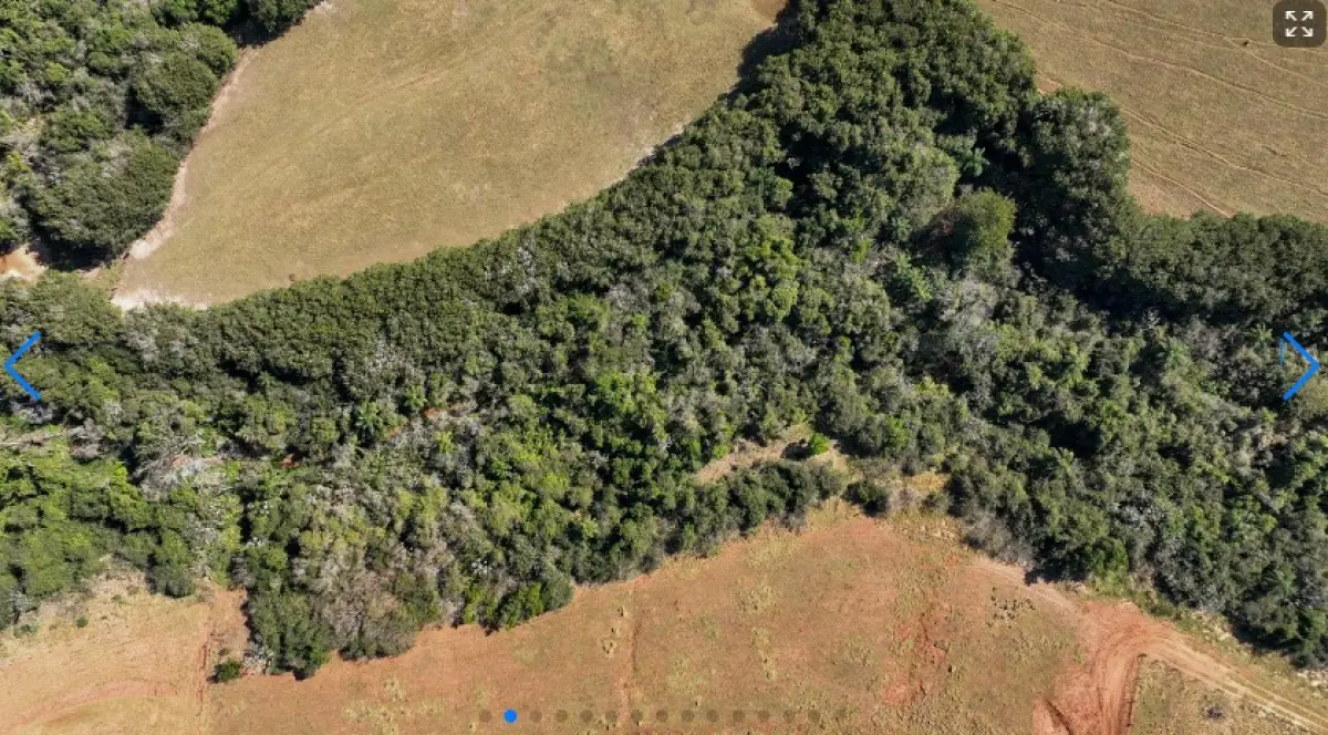 LOTE 000 - LOTE RURAL EM PÉROLA - PR LOTE RURAL, GLEBA EL-DOURADO • 20,32ha  Pérola - PR