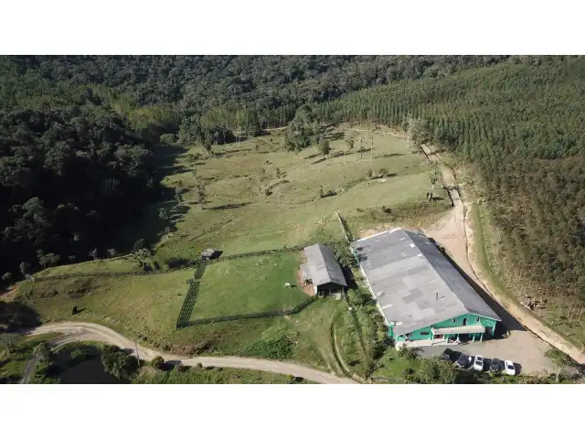 FAZENDA COM 607,58 HECTARES  ( REFLORESTAMENTO EUCALIPTO) em BENDEDITO NOVO -SC