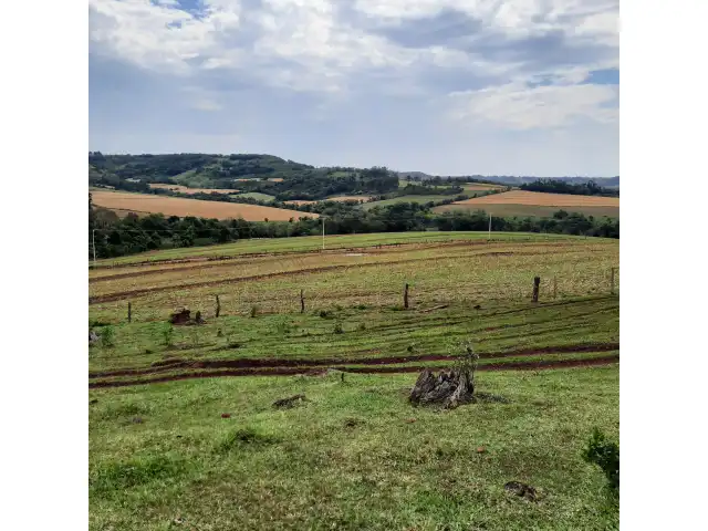 FAZENDA COM 74 HECTARES EM LINDOESTE - PR  (dupla aptidão) boa de  agua e estrutura, como,  casa e mangueiras, cerca eletrica