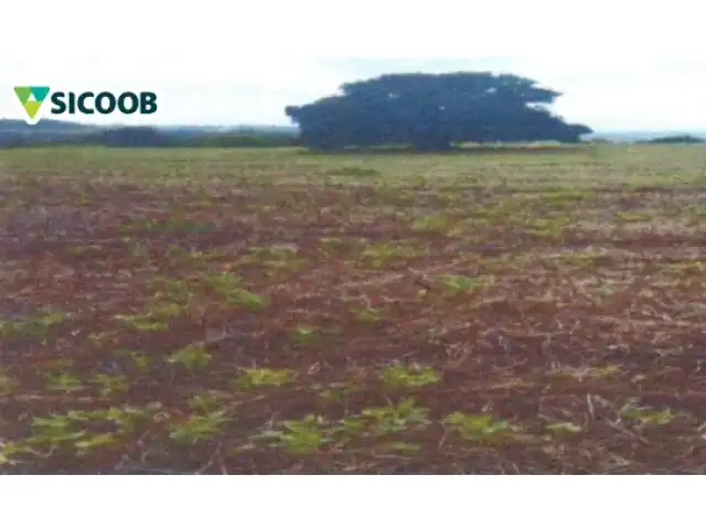 AREA RURAL COM 5,44 HECTARES - ASSAI PR ( LOCALIZAÇÃO SECÇÃO PAU D"ALHO)