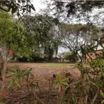 TERRENO URBANO EM CORBÉLIA COM 715,10 METROS QUADRADOS - CORBELIA PR