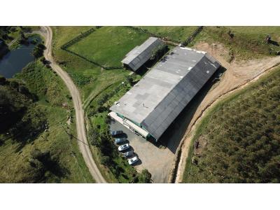 LOTE 000 - FAZENDA COM 607,58 HECTARES ,  REFLORESTAMENTO ( 90% EUCALIPTO) BENEDITO NOVO SC