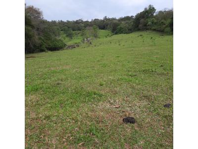 LOTE 000 - FAZENDA DUPLA APTIDAO COM 74 HECTARES