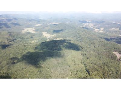 LOTE 000 - FAZENDA COM 607,58 HECTARES ,  REFLORESTAMENTO ( 90% EUCALIPTO) BENEDITO NOVO SC