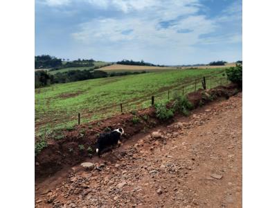LOTE 000 - FAZENDA DUPLA APTIDAO COM 74 HECTARES