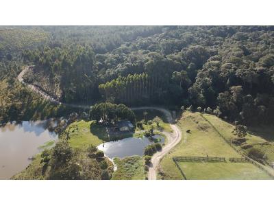 LOTE 000 - FAZENDA COM 607,58 HECTARES ,  REFLORESTAMENTO ( 90% EUCALIPTO) BENEDITO NOVO SC