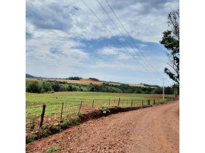 LOTE 000 - FAZENDA DUPLA APTIDAO COM 74 HECTARES