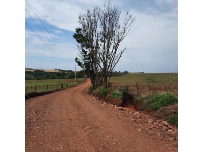 LOTE 000 - FAZENDA DUPLA APTIDAO COM 74 HECTARES