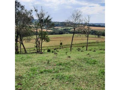 LOTE 000 - FAZENDA DUPLA APTIDAO COM 74 HECTARES