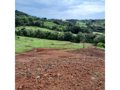 LOTE 000 - FAZENDA DUPLA APTIDAO COM 74 HECTARES
