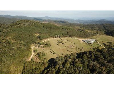 LOTE 000 - FAZENDA COM 607,58 HECTARES ,  REFLORESTAMENTO ( 90% EUCALIPTO) BENEDITO NOVO SC