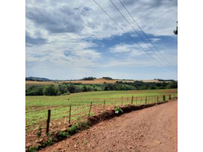 LOTE 000 - FAZENDA DUPLA APTIDAO COM 74 HECTARES