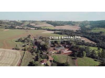 LOTE 000 - FAZENDA DUPLA APTIDAO COM 74 HECTARES