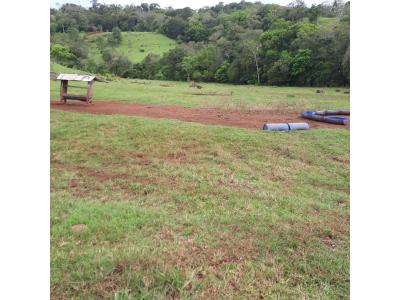LOTE 000 - FAZENDA DUPLA APTIDAO COM 74 HECTARES