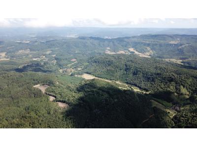 LOTE 000 - FAZENDA COM 607,58 HECTARES ,  REFLORESTAMENTO ( 90% EUCALIPTO) BENEDITO NOVO SC