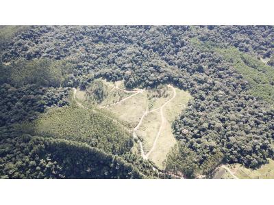 LOTE 000 - FAZENDA COM 607,58 HECTARES ,  REFLORESTAMENTO ( 90% EUCALIPTO) BENEDITO NOVO SC
